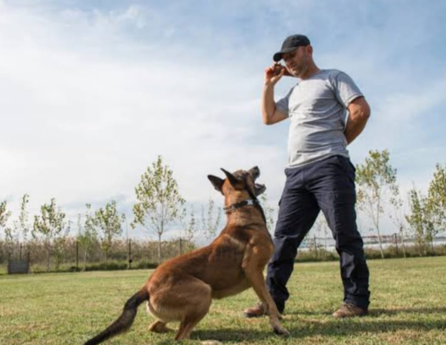 WhatsApp Image 2025-08-29 at 16.24.54.jpeg